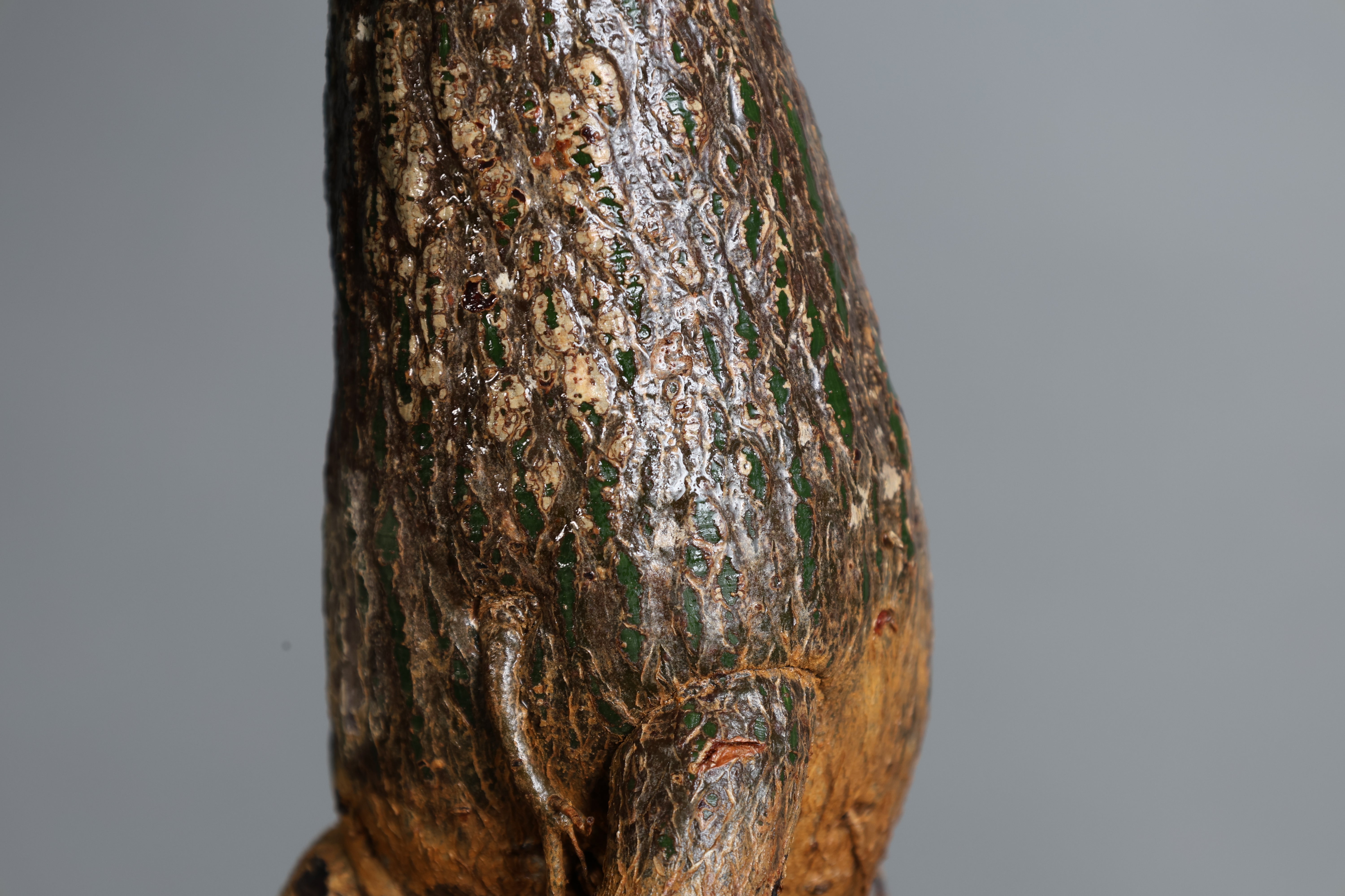 ボンバックス – 樹利丸 園芸店