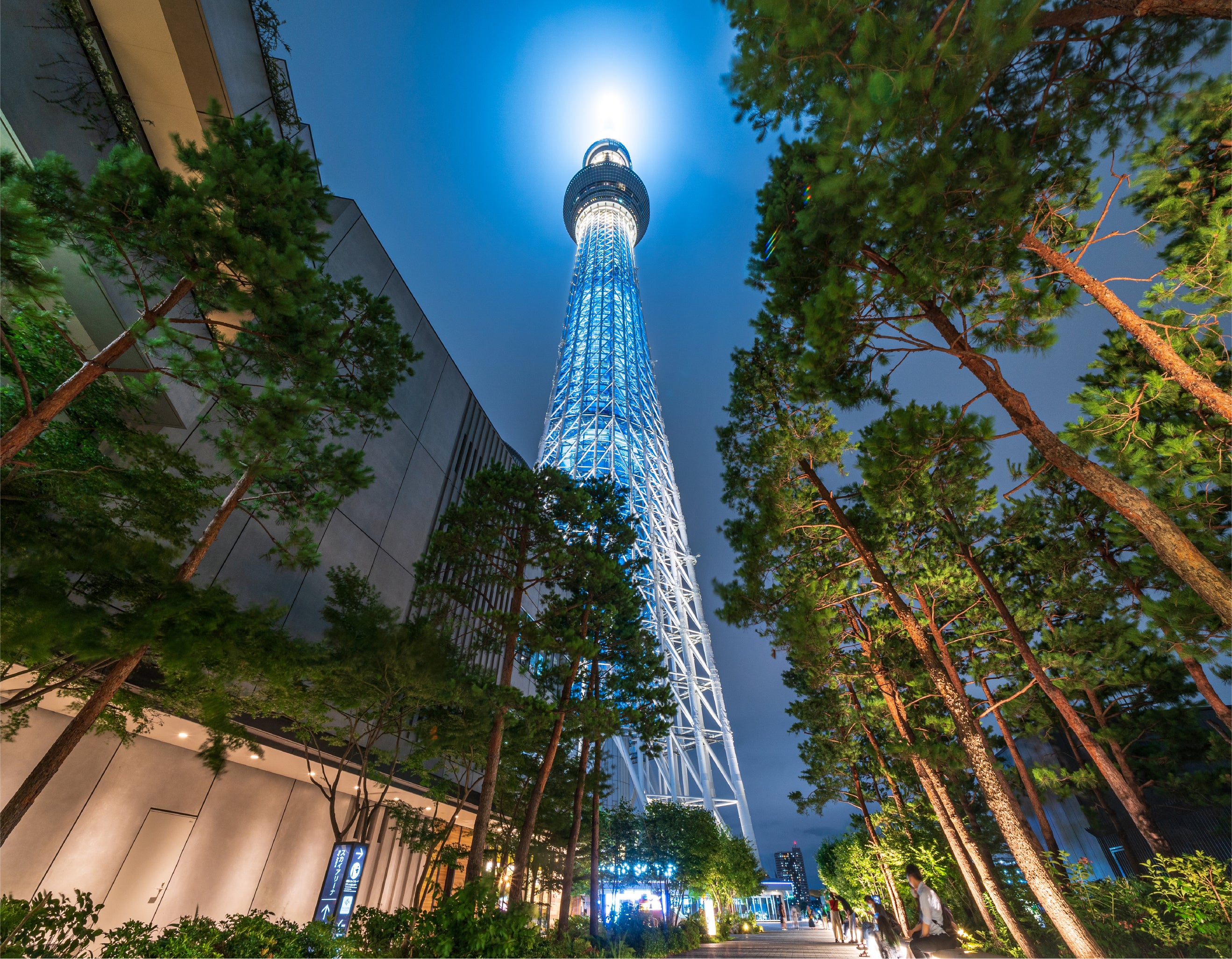 スカイツリーから徒歩5分