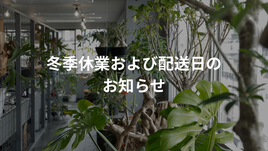 【重要】冬季休業および配送日のお知らせ