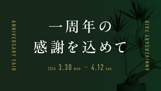 一周年の感謝を込めて