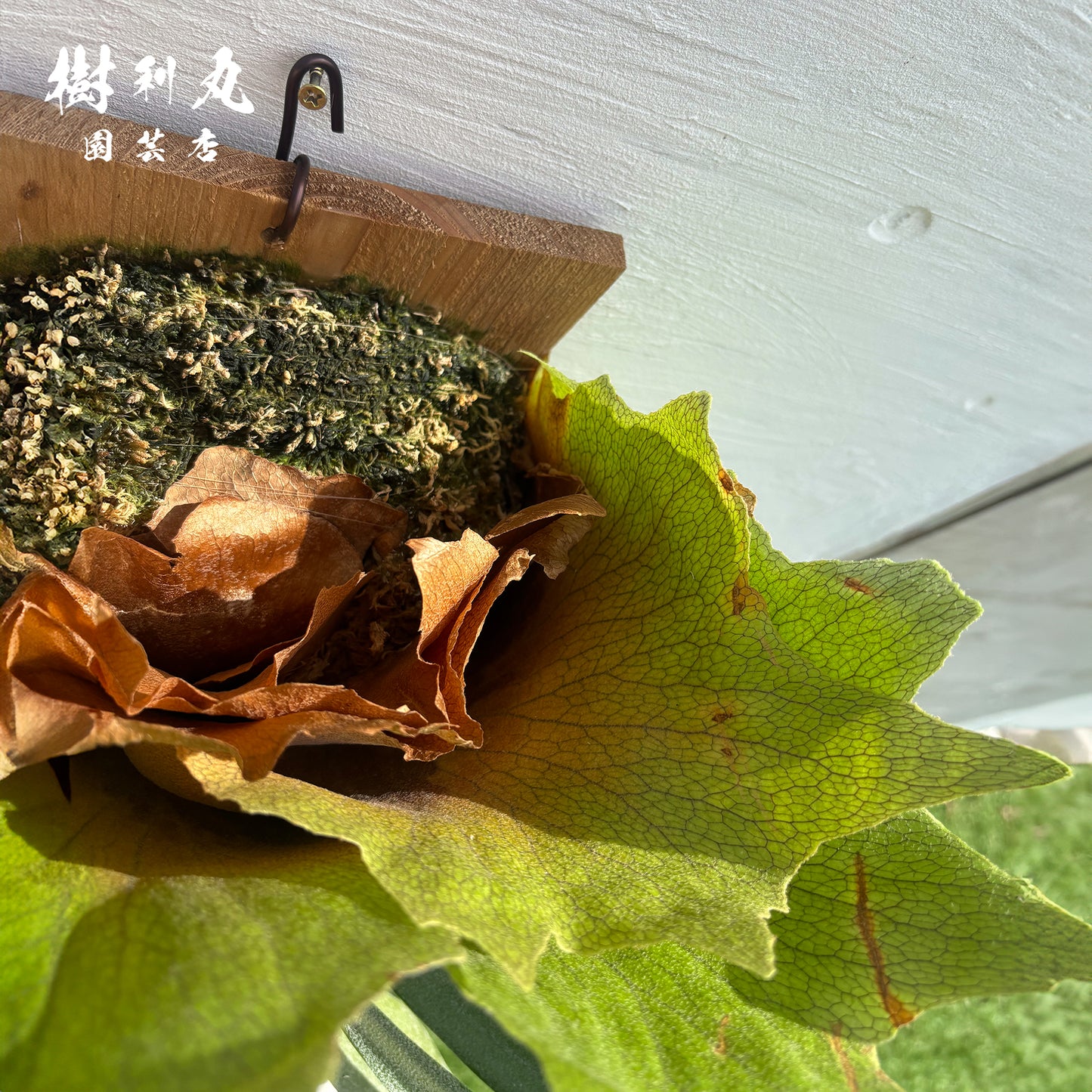 芯を抱き,自由を羽ばたく - アルシコルネ
