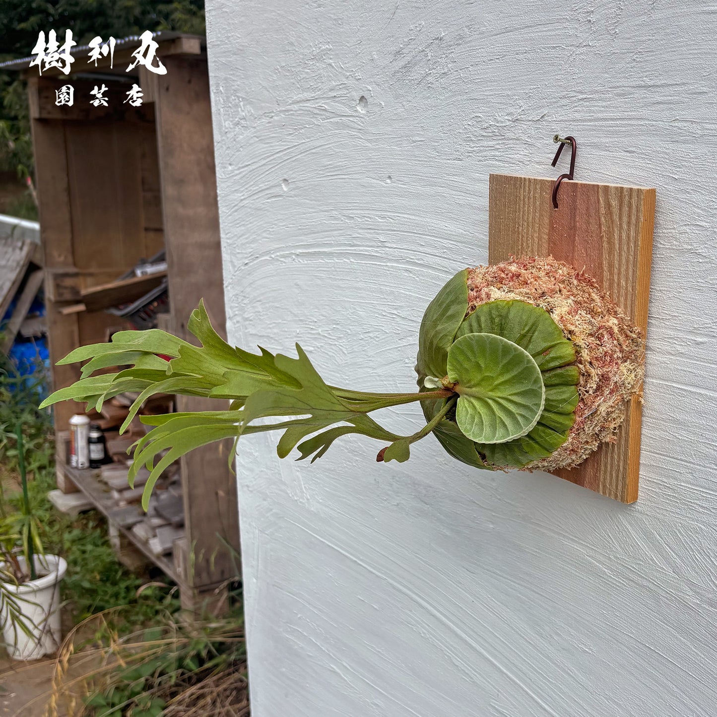 芯は硬く,翼は柔らかく - リドレイ