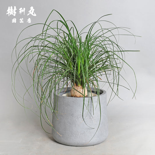 沈黙が、強さを養う - トックリラン